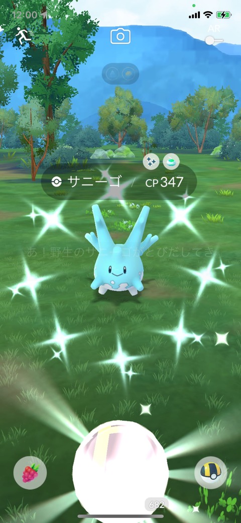 Global色サニーゴ野生3