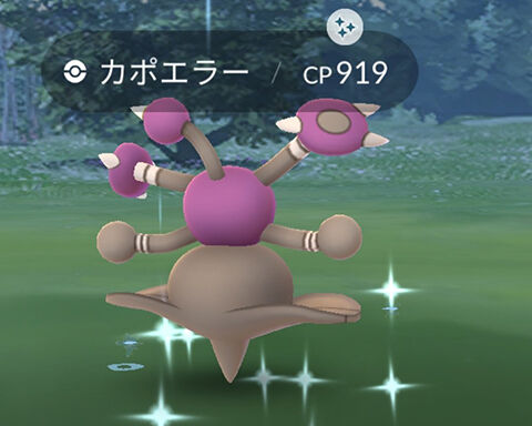 マスタリー捕獲難度0