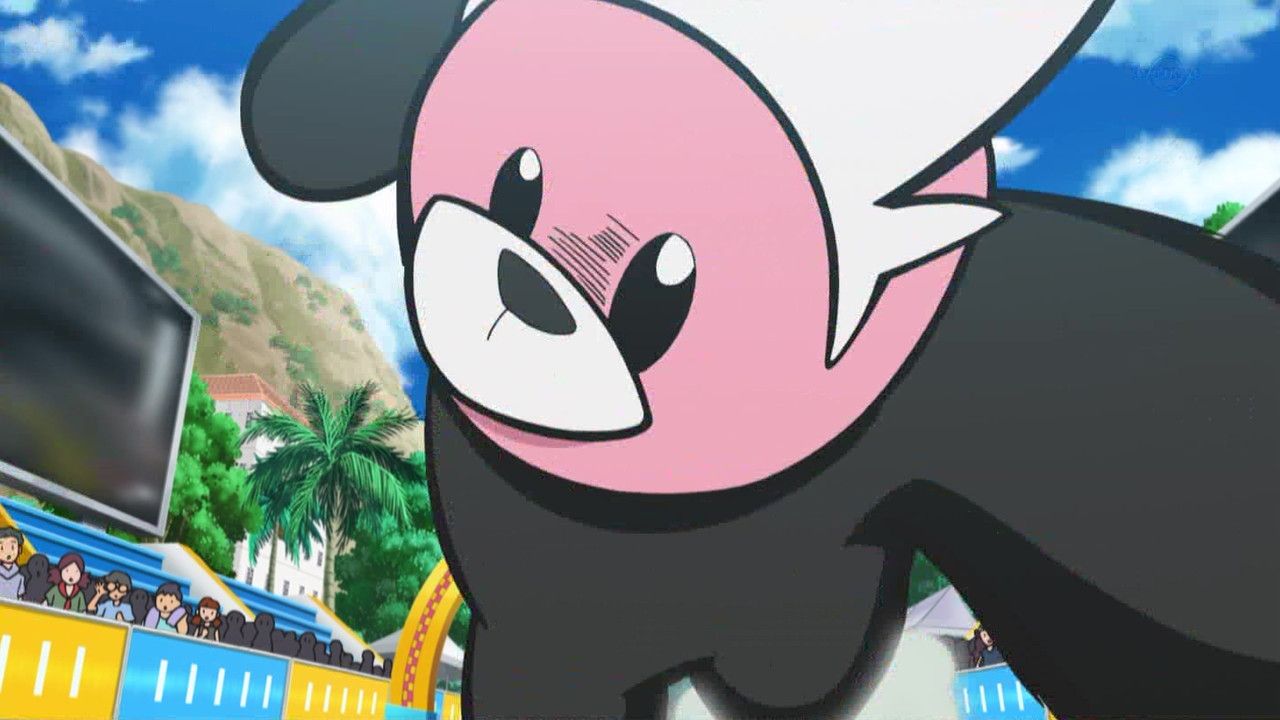 キテルグマってポケgoだと強いの ヌイコグマのコミュニティデイ ポケモンgo速報まとめ