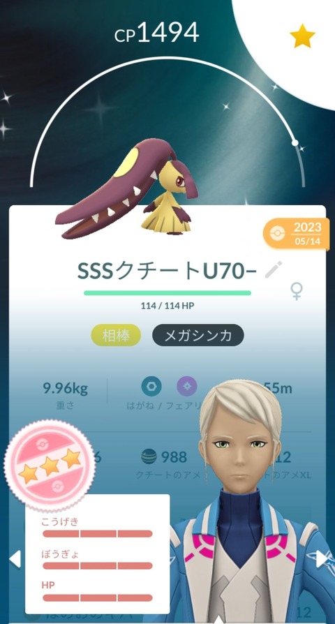 Junメガクチート準備1