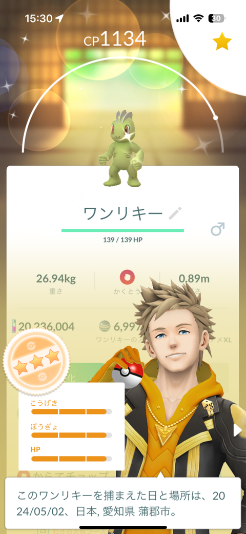 kanto野生レア枠2