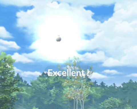 イベルタル捕獲エクセル00