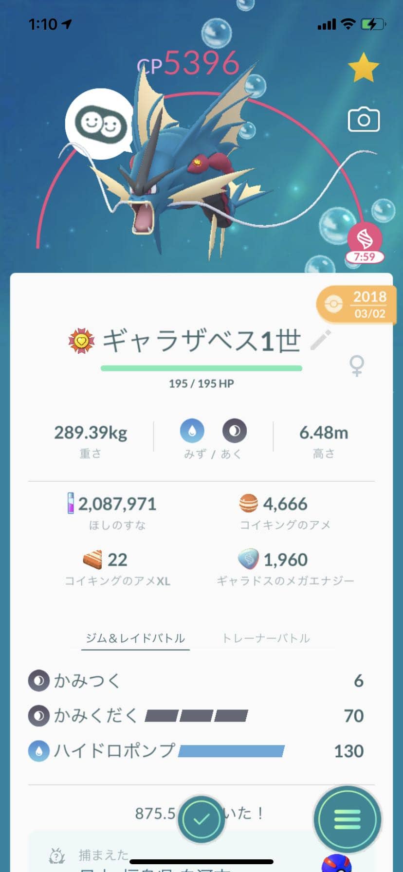 急にきた そんなことより俺の最強メガギャラドスをみてくれよｗｗ ポケモンgo速報まとめ