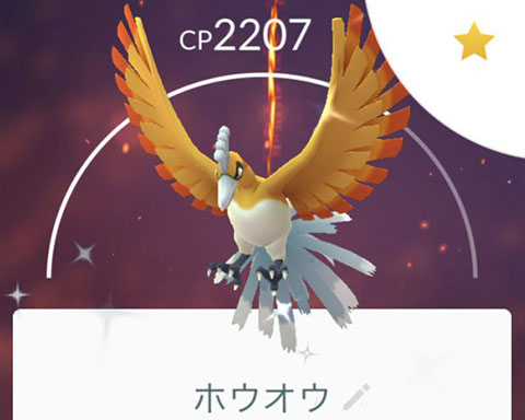 伝説色違い100 とか都市伝説だろｗｗ今回のホウオウはワイ高みの見物ｗｗ ポケモンgo速報まとめ