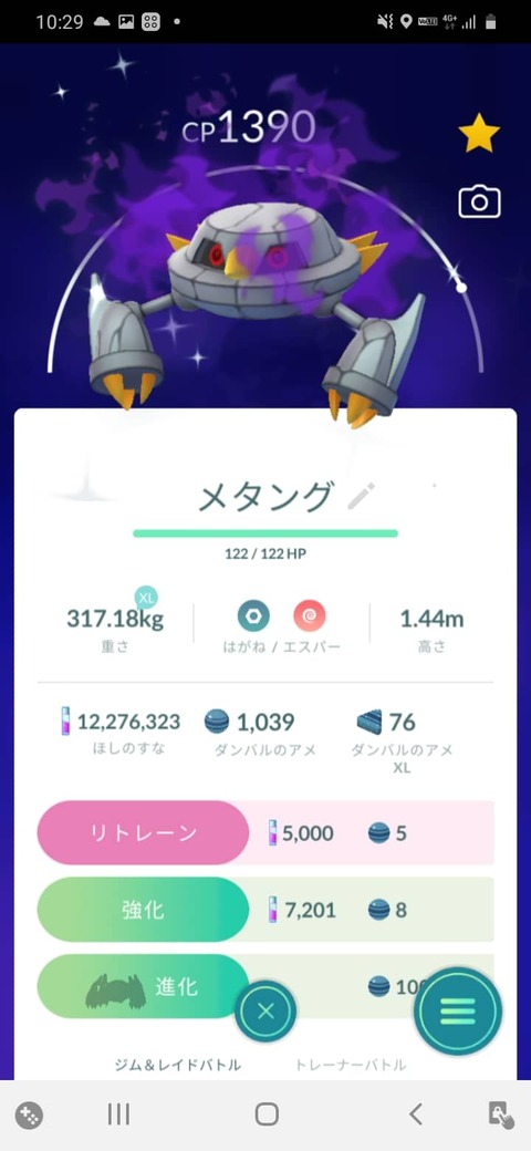 ザシアン対策砂貰1