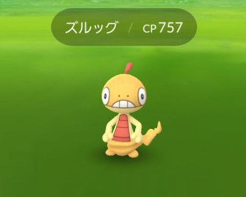 ズルッグ確定噂0