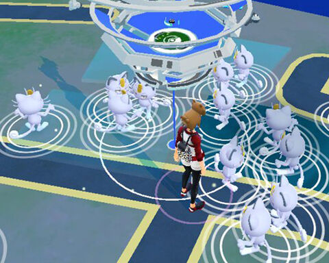 美味しいｗｗアローラニャースのスポットライトアワーどうだった ポケモンgo速報まとめ