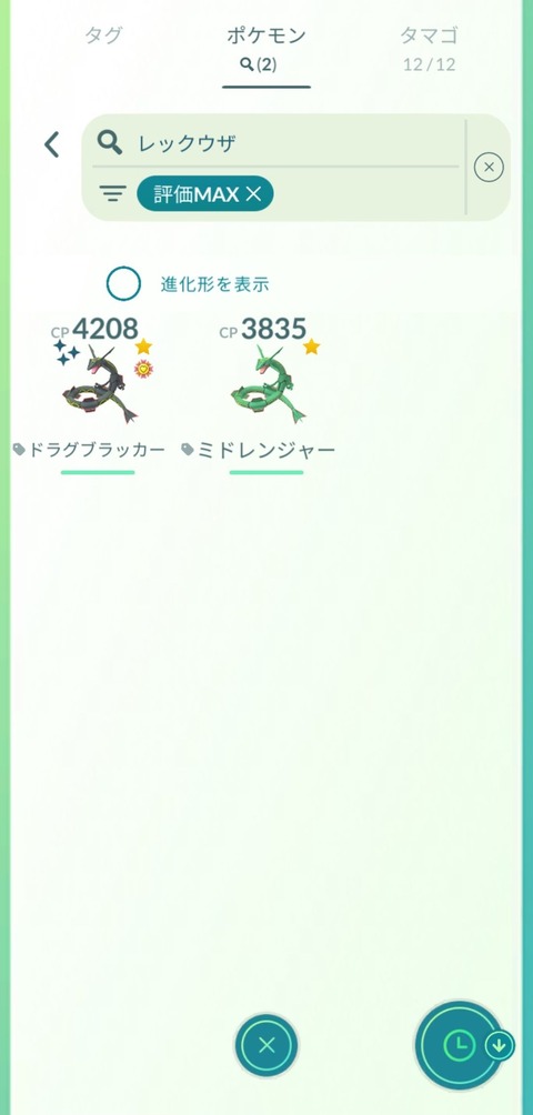 補填メガレックウザ本腰2
