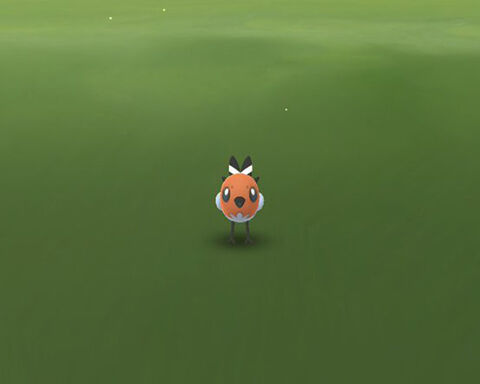 ポッポ枠なの ヤヤコマってなに ポケモンgo速報まとめ ポッポ枠なの ヤヤコマってなに ポケモンgo速報まとめ