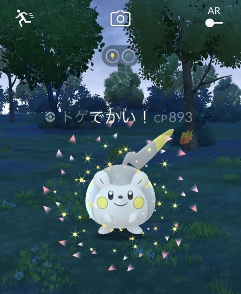 鋼定ルトゲデマル大2