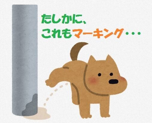 トレードしまくるｗｗ遠隔交換ボーナス期間中はキラポケモンの確率もアップかｗｗ ポケモンgo速報まとめ