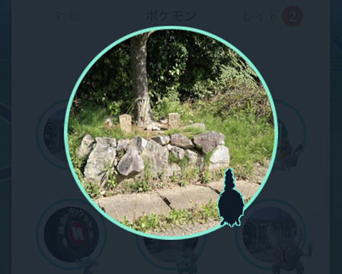 ミノムッチレア枠0