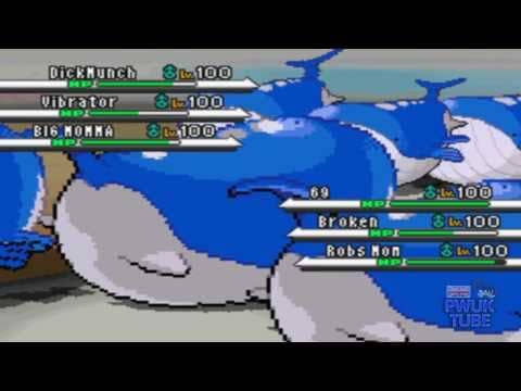 野生ダッシュ2