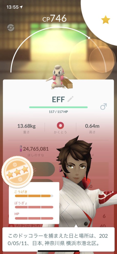 HWダークライ個体厳選2