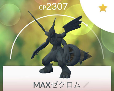 ゼクロム戦歴百回0
