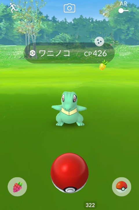 ワニノコデイ色違8