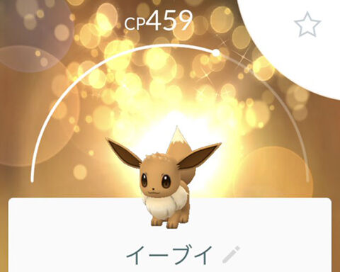 進化条件どうなった ニンフィア用の秘蔵っ子イーブイがこちらｗｗ ポケモンgo速報まとめ