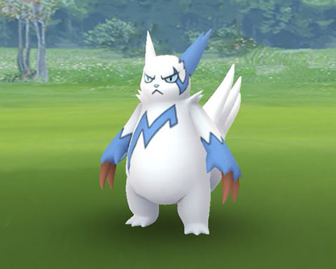 ブーストあり 色違いザングースの捕れる確率ってどのくらいなの ポケモンgo速報まとめ