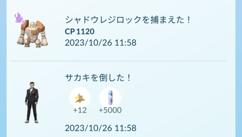 榊Sレジギガス成果1