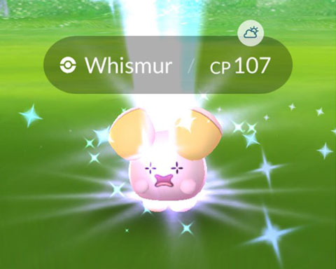 出し惜しみしてるのか メタモンがゴニョニョに化けてるのもいるらしいなwww ポケモンgo速報まとめ 出し惜しみしてるのか メタモンがゴニョニョに化けてるのもいるらしいなwww ポケモンgo速報まとめ