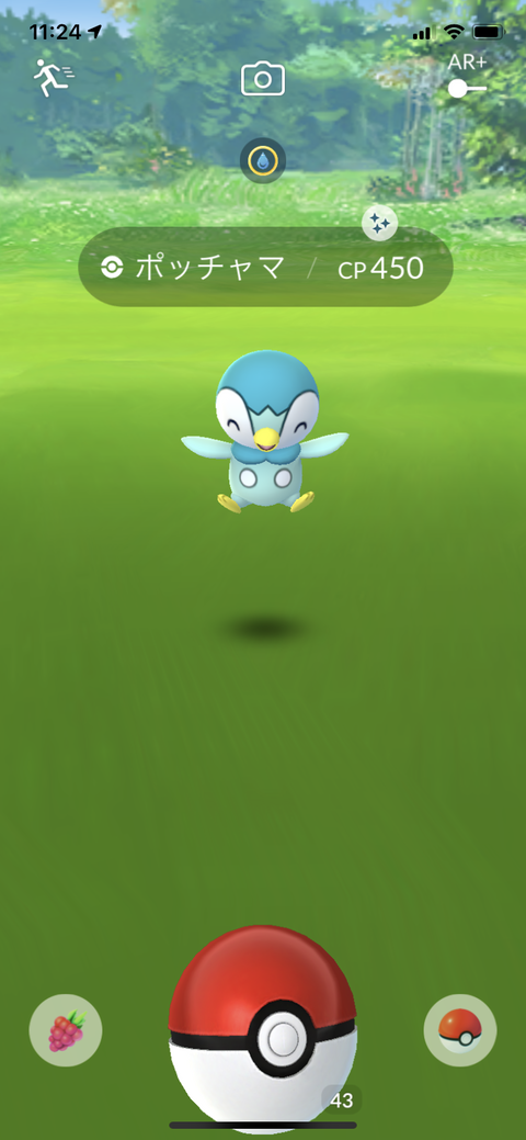 色ポッチャマ出易2