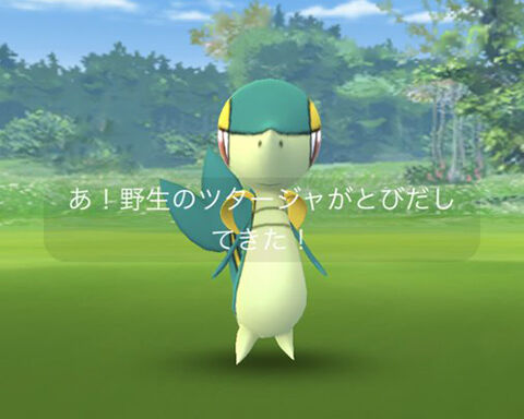 そういう枠だからｗｗツタージャはとりあえず色違い100 が取れればいいやｗｗ ポケモンgo速報まとめ