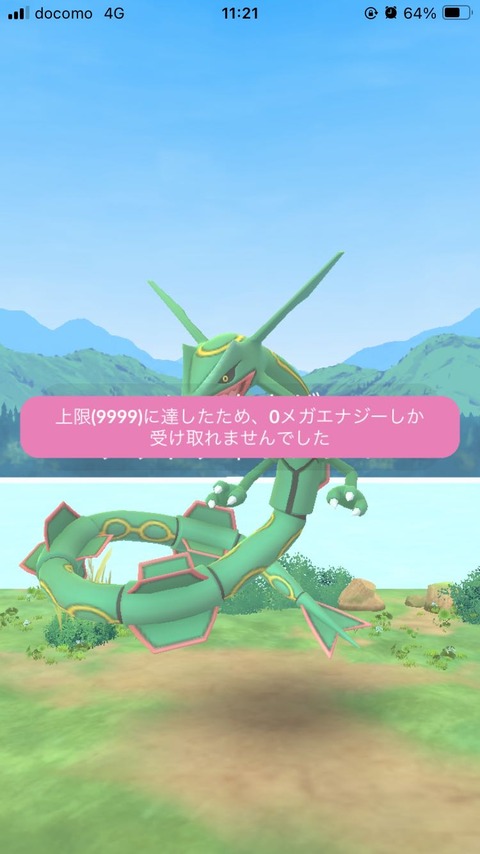 補填レックウザ活力渋1