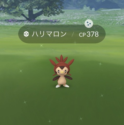CDハリマロン初手色2