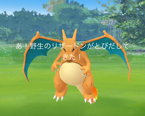リザードン野生0