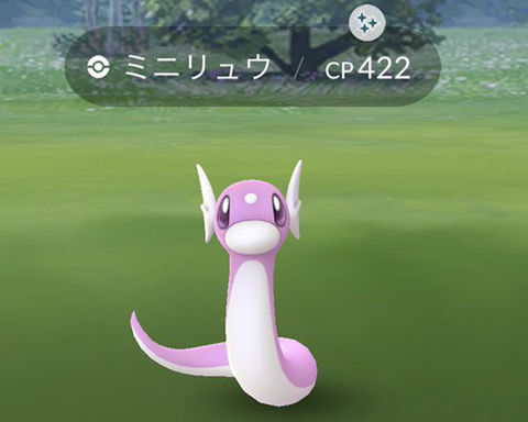 ポケモンgo フェスタスクがほんと邪魔 マジでミニリュウ湧いて ポケモンgo速報まとめ