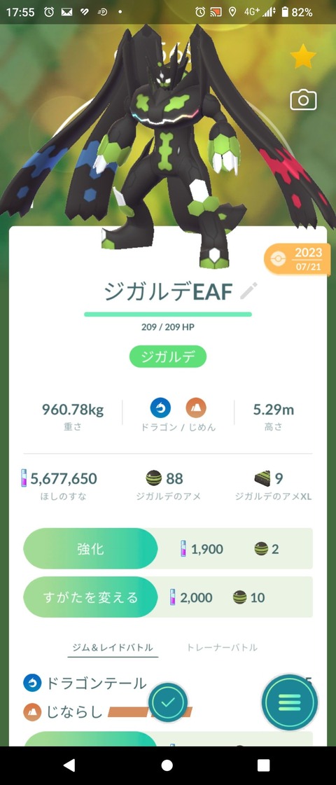 JunPジガルデ完成1