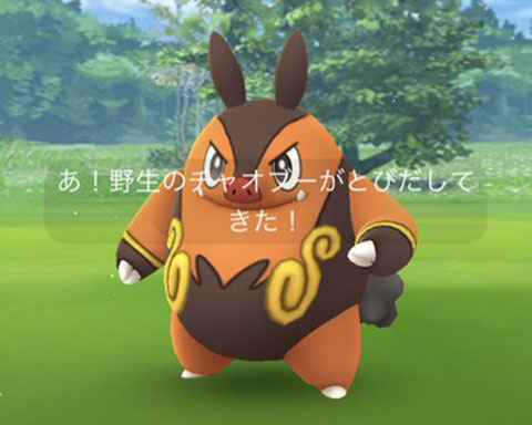 イッシュ御三家の進化後が先にきたぜぇwwwソース変わって爆湧きのおかげかwww ポケモンgo速報まとめ イッシュ御三家の進化後が先にきたぜぇwwwソース変わって爆湧きのおかげかwww ポケモンgo速報まとめ