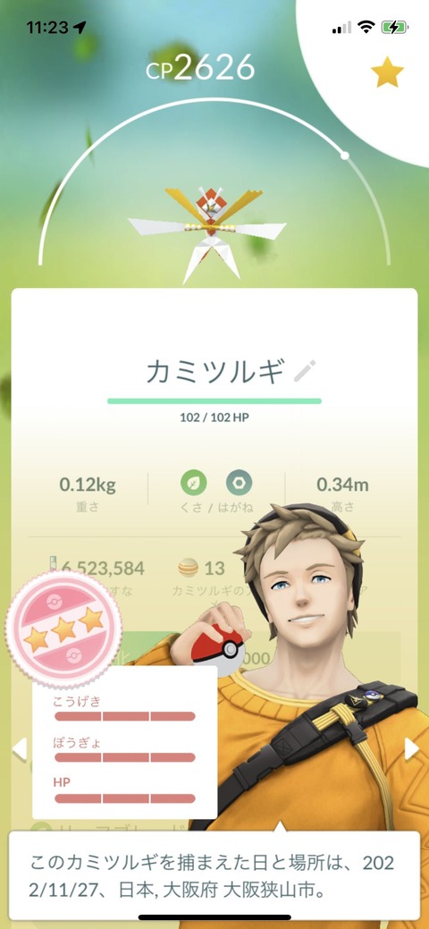 Nov光UBカミツルギFFF1