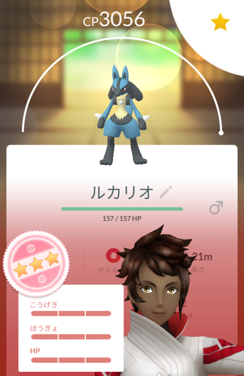 メガルカリオ格闘最強3