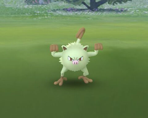 色違いでた マンキーgoバトルデイの収穫ｗｗ ポケモンgo速報まとめ