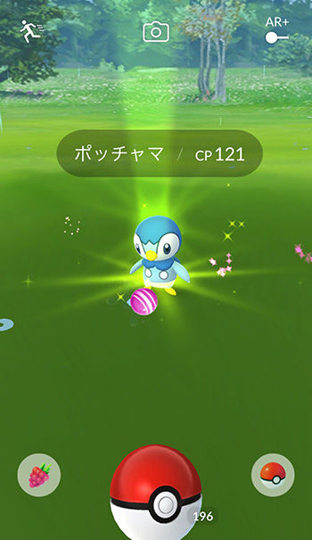 ポケモンgo 御三家の水は毎回レア ポッチャマどこにもいねぇ ポケモンgo速報まとめ ポケモンgo 御三家の水は毎回レア ポッチャマどこにもいねぇ ポケモンgo速報まとめ
