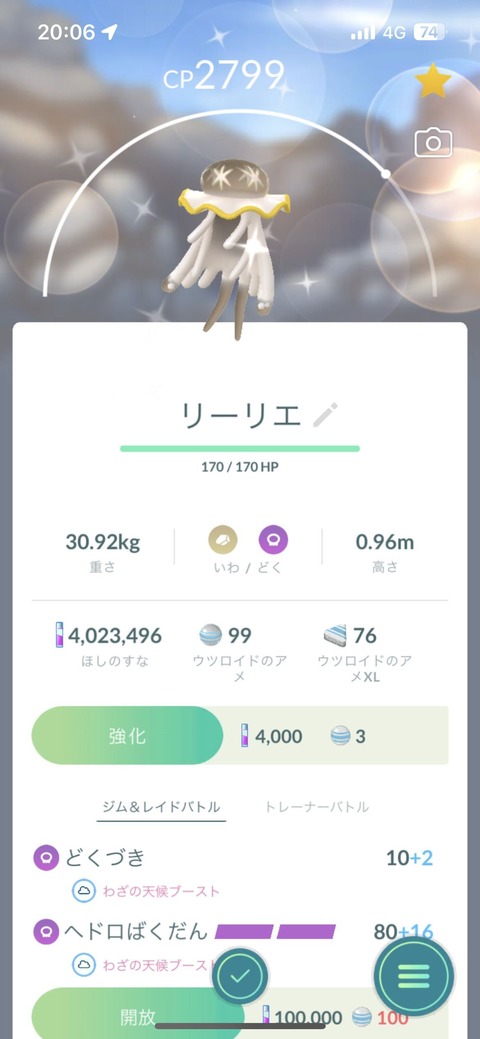 ウツロイド色高個体4