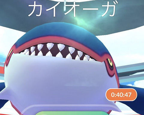 RW対カイオーガ0