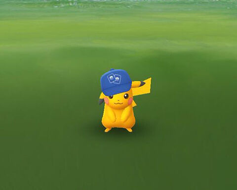ポケカ色収穫0