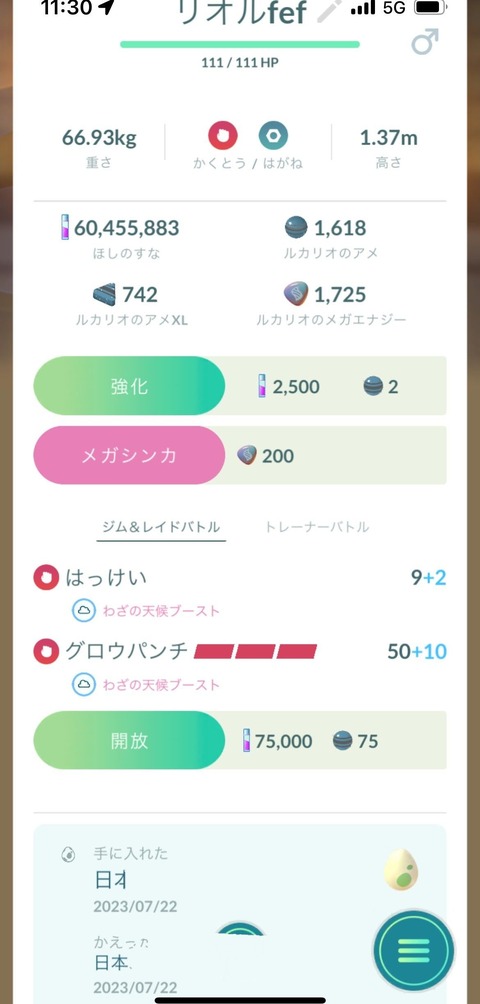 メガルカリオ解放忘1
