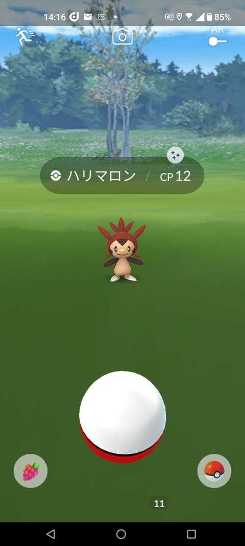CDハリマロン初手色8