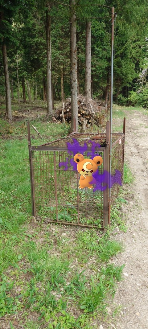 kantoルカリオFFF4