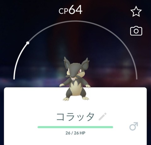 メガLv上XL2