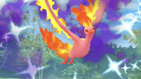 色Sファイヤー確定無0