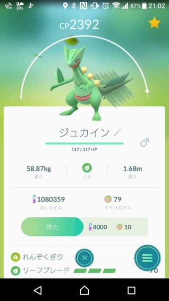 ポケモンgo キモリ捕まえたからジュカインにしたんだけど使える ポケモンgo速報まとめ ポケモンgo キモリ捕まえたからジュカインにしたんだけど使える ポケモンgo速報まとめ