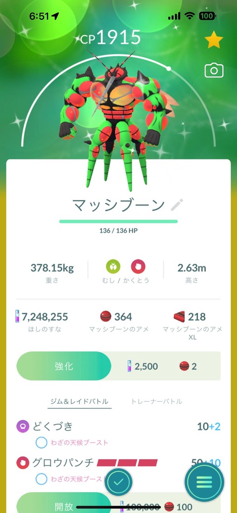 Global色マッシブーン早起1