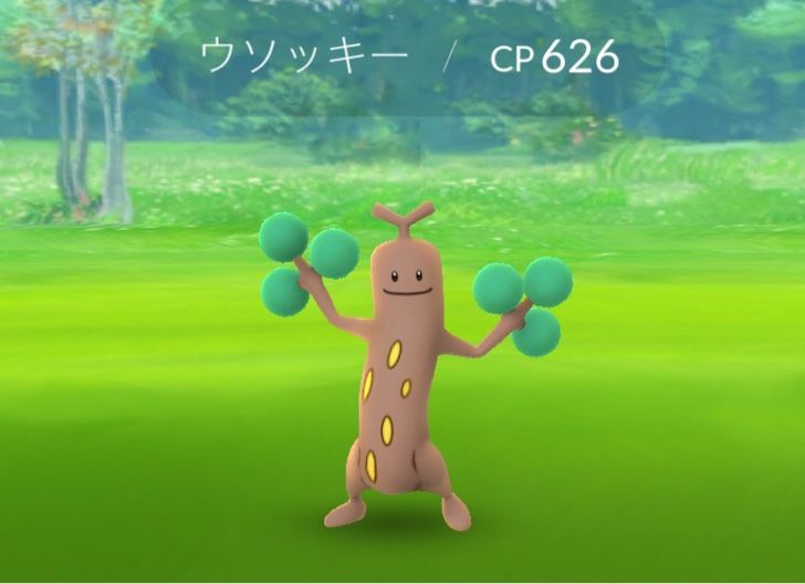 ポケモンgo ウソッキーさんが実は木じゃないってマジ ポケモンgo速報まとめ