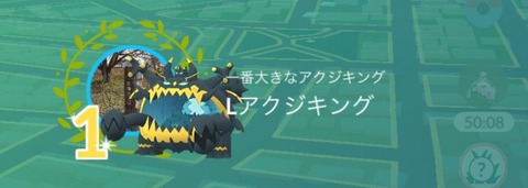 旧正月御披露目竜1