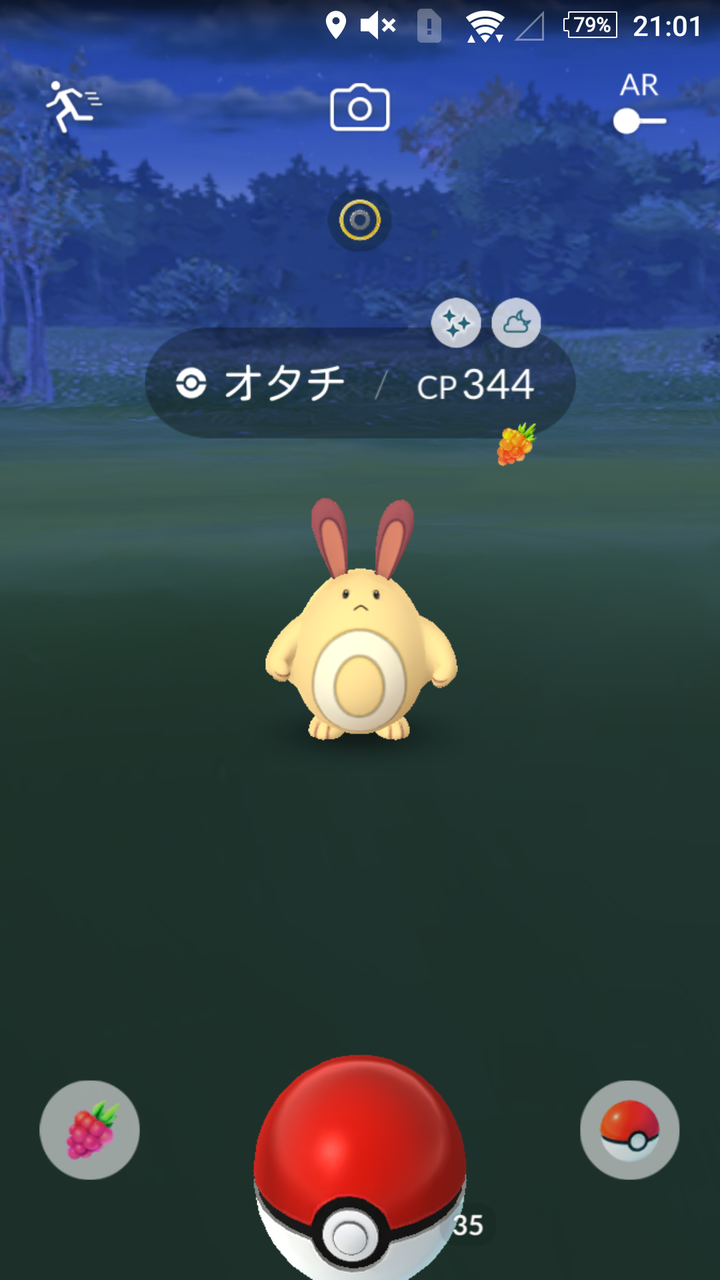 色違いの確率厳しいのかな オタチは報告が多いがグライガーが少なくね ポケモンgo速報まとめ
