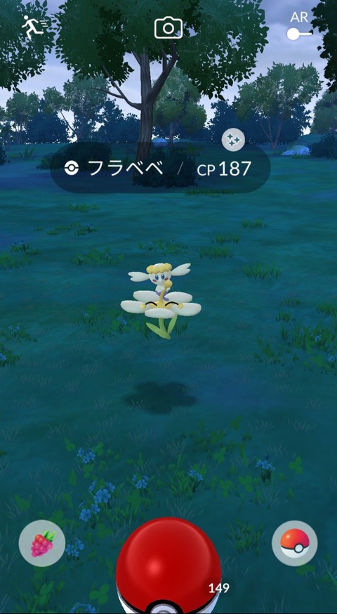 鋼定フラベベ色1